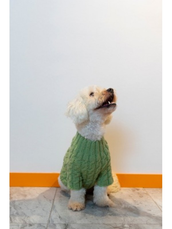 Green Dog Knit Sweater