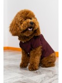 Your Dog And You Combined Raincoat Claret Red