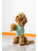 Sırt Nakış İşlemeli Köpek Sweatshirt Mint