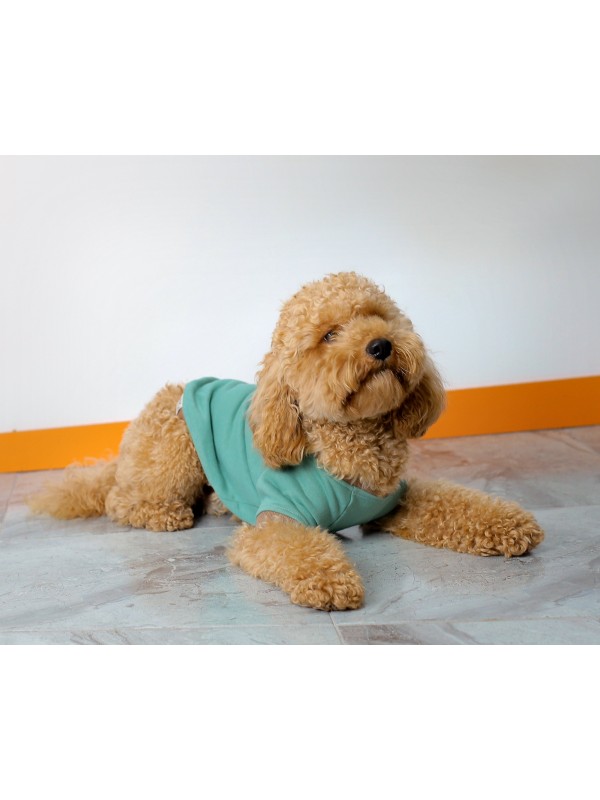 Back Embroidered Dog Sweatshirt Sea Green