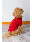  Back Embroidered Dog Sweatshirt Red