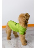  Back Embroidered Dog Sweatshirt Lime