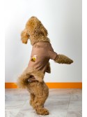 Sırt Nakış İşlemeli Köpek Sweatshirt Taupe