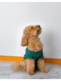 Sırt Nakış İşlemeli Köpek Sweatshirt Zümrüt Yeşili 